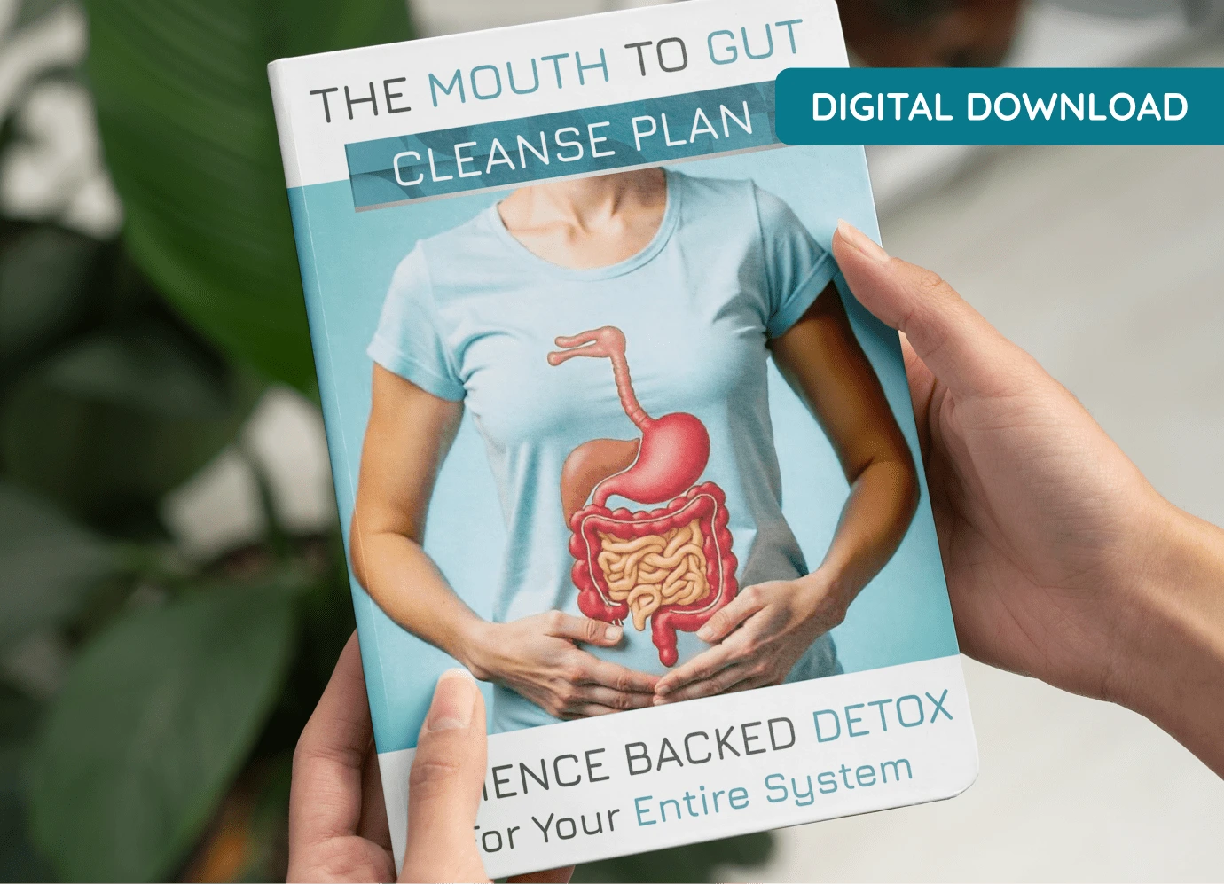 Mouth-to-Gut Cleanse Plan